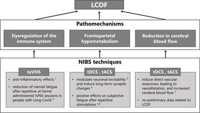 The therapeutic potential of non-invasive brain stimulation for the treatment of Long-COVID-related cognitive fatigue